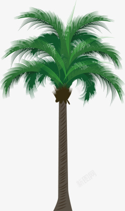 海边椰子树矢量图素材