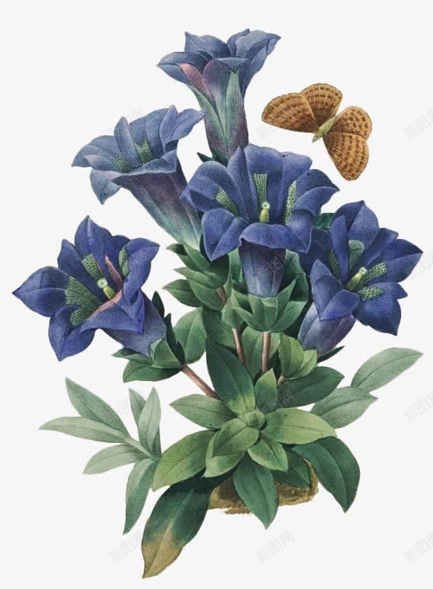 古风蓝色花朵绿叶插图png免抠素材_新图网 https://ixintu.com 古风 插图 绿叶 花朵 蓝色