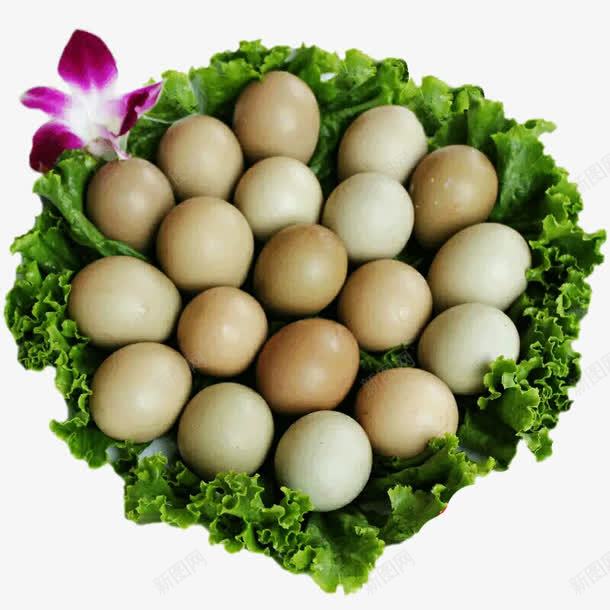 农家土鸡蛋png免抠素材_新图网 https://ixintu.com 土鸡蛋 植物 生菜 花朵 食物 鸡蛋