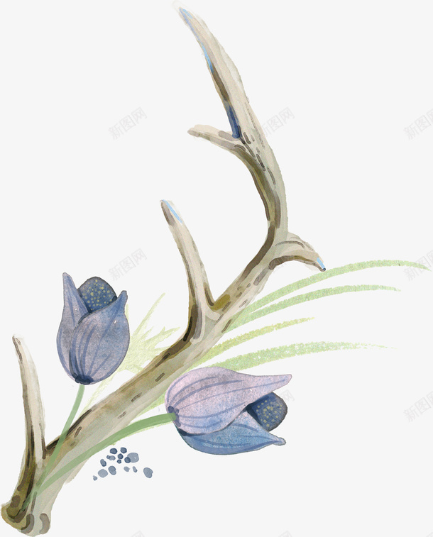 鹿角蓝色花卉png免抠素材_新图网 https://ixintu.com 植物 水彩植物 绿叶 花朵 蓝色花卉