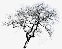 摄影环境渲染效果黑色的树木素材