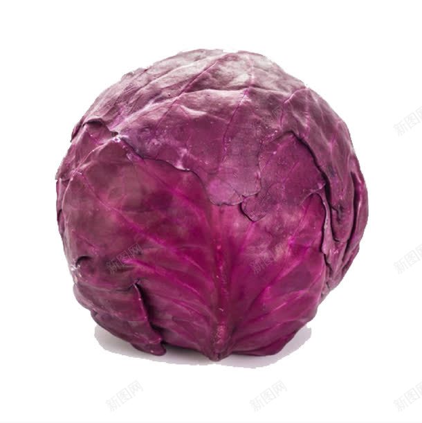 紫色蔬菜png免抠素材_新图网 https://ixintu.com 产品实物 包菜 紫色 蔬菜