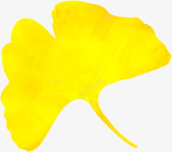 黄色卡通树叶装饰png免抠素材_新图网 https://ixintu.com 卡通 树叶 装饰 黄色