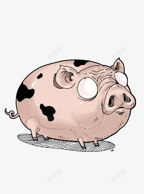 十二生肖猪png免抠素材_新图网 https://ixintu.com 十二生肖 卡通猪 手绘 猪