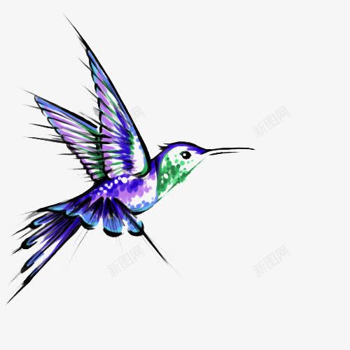 紫色绘画蜂鸟png免抠素材_新图网 https://ixintu.com png png图片 免抠 小鸟 紫色 绘画 蜂鸟