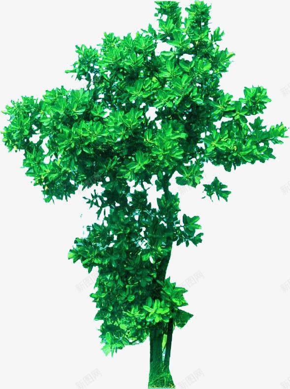 绿色植物环保宣传png免抠素材_新图网 https://ixintu.com 宣传 环保 绿色植物 设计
