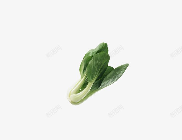 小白菜png免抠素材_新图网 https://ixintu.com 蔬菜绿色小白菜
