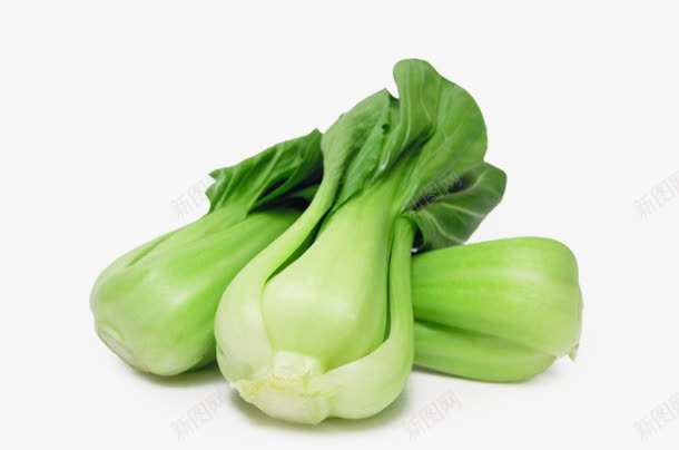 新鲜小白菜png免抠素材_新图网 https://ixintu.com 新鲜蔬菜 白菜 绿色食品 青菜