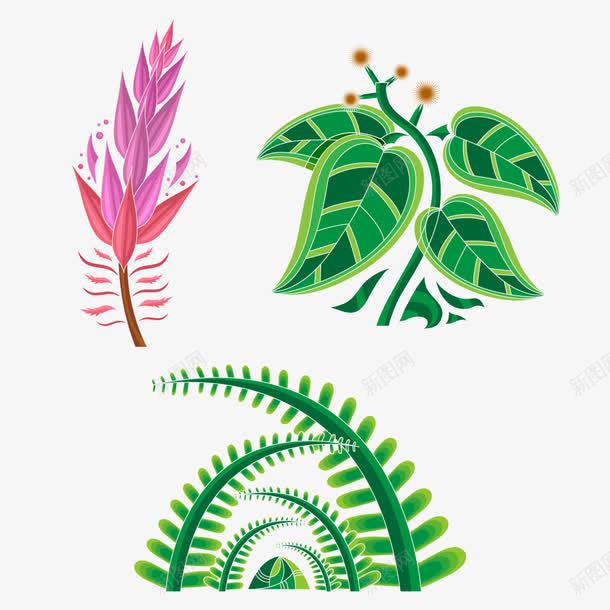 中草药植物png免抠素材_新图网 https://ixintu.com 中草药 植物 植物草药