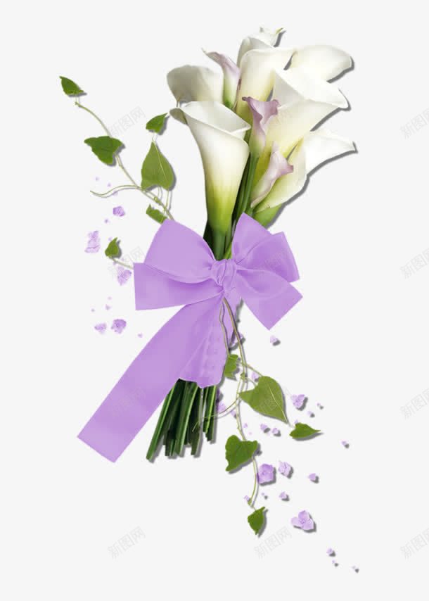 紫色蝴蝶结白色花朵png免抠素材_新图网 https://ixintu.com 白色 紫色 花朵 蝴蝶结