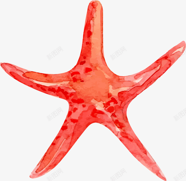 手绘海洋生物珊瑚png免抠素材_新图网 https://ixintu.com 手绘 手绘海洋生物珊瑚 海洋 珊瑚 生物 红色