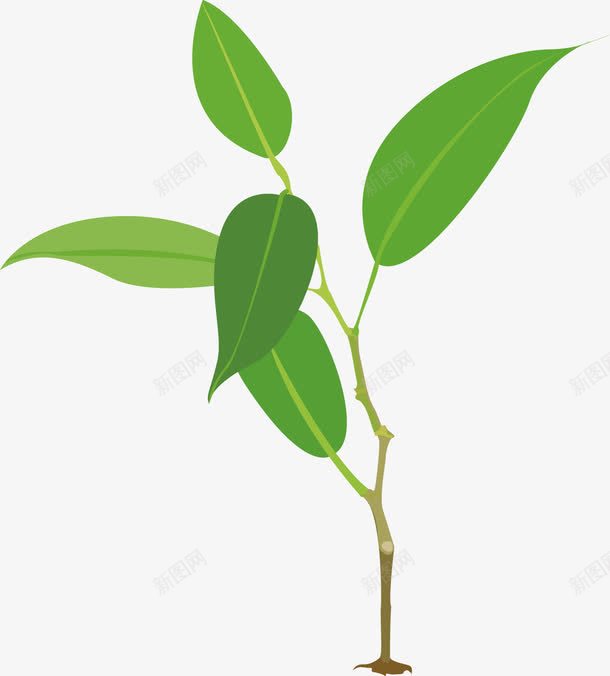 绿色小树苗png免抠素材_新图网 https://ixintu.com 嫩绿 小树苗 植物 种植 绿色