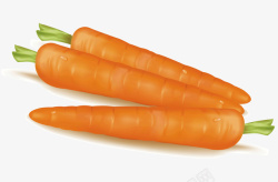 三根胡萝卜蔬菜胡萝卜矢量图高清图片