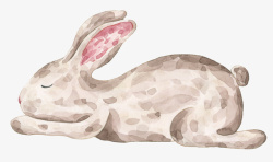 睡觉的兔子素材