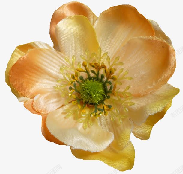 抽象鲜花手绘花朵png免抠素材_新图网 https://ixintu.com 卡通鲜花图片 唯美 唯美背景图片 手绘鲜花 抽象鲜花图片 鲜花边框