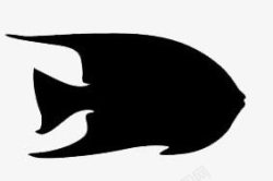 黑色海鱼鱼高清图片