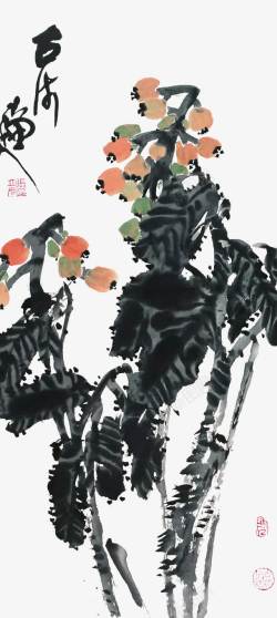 中国画枇杷叶枇杷果素材