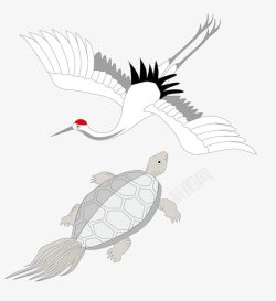 乌龟图片送子鹤和鳄龟高清图片
