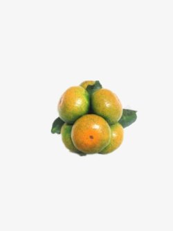 濂界湅鐨勮镆青橘子高清图片