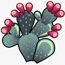 cactus仙人掌多刺的西大荒卷高清图片