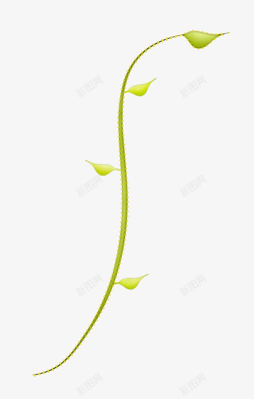 绿色植物花朵彩绘卡通png免抠素材_新图网 https://ixintu.com 卡通 彩绘 植物 绿色 花朵