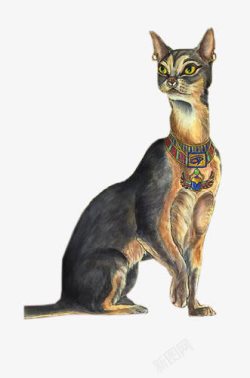 古埃及时期的猫素材
