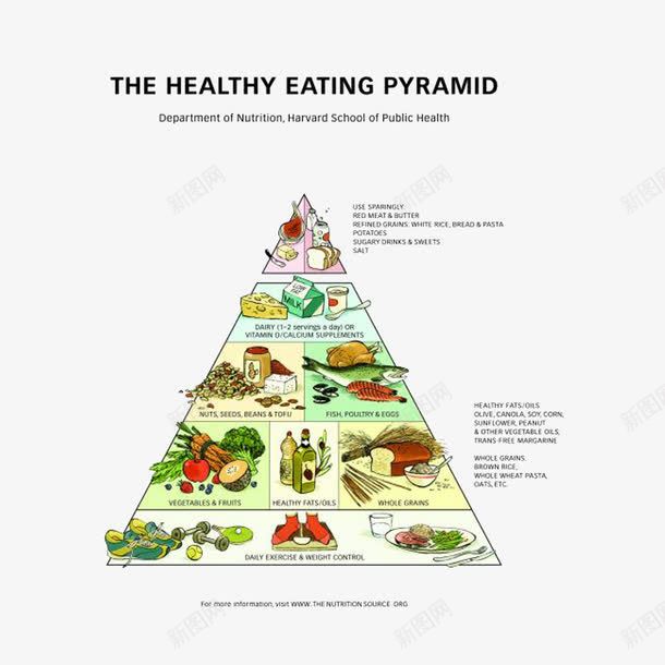 英语膳食金字塔png免抠素材_新图网 https://ixintu.com 膳食金字塔