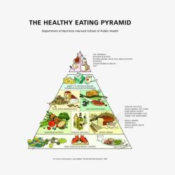 英语每天膳食金字塔英语膳食金字塔高清图片