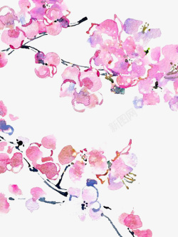 粉色水彩花朵素材