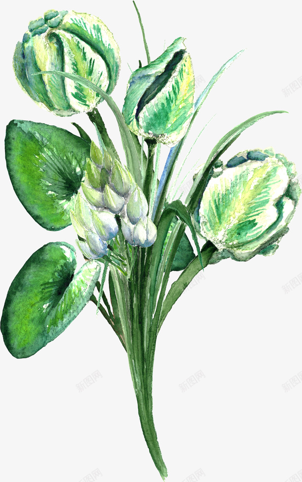 绿植装饰png免抠素材_新图网 https://ixintu.com 叶子 植物 矢量装饰 绿植 装饰 装饰画
