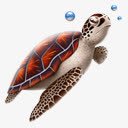 动物乌龟freescubadivingiconset图标png_新图网 https://ixintu.com animal turtle 乌龟 动物