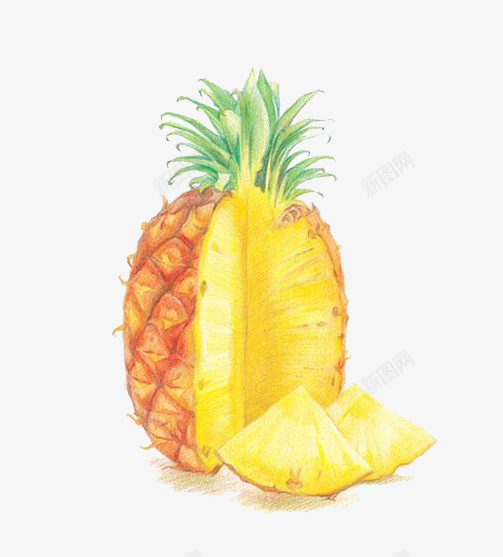 彩铅菠萝png免抠素材_新图网 https://ixintu.com 卡通 彩铅 手绘 菠萝 装饰