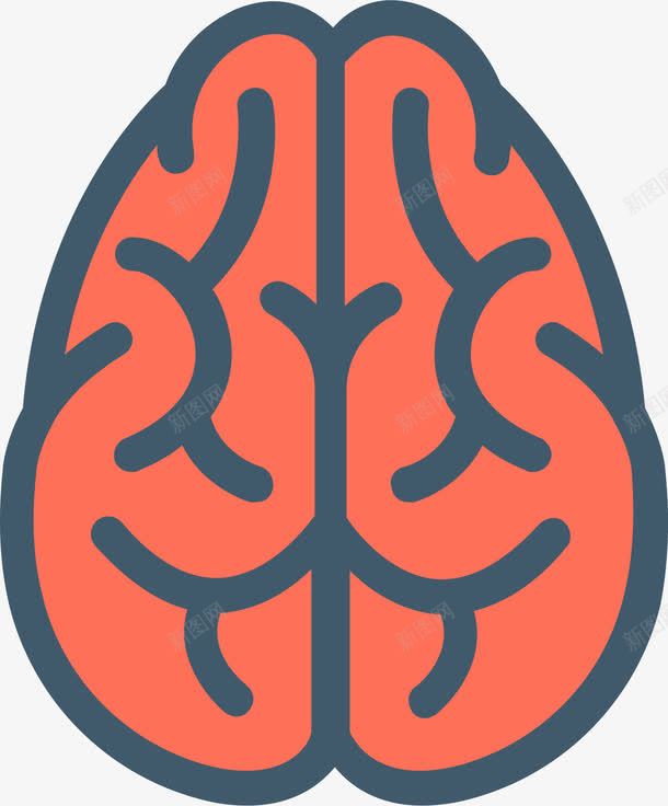 最强大脑图标png_新图网 https://ixintu.com 人脑 卡通图标 大脑 头脑 最强大脑 脑神经
