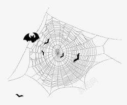 卡通蜘蛛网手绘素材