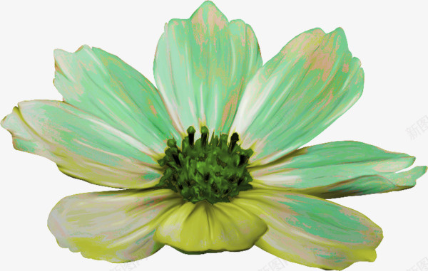 绿色花朵花卉花蕾png免抠素材_新图网 https://ixintu.com 卡通手绘 绿色花朵 花卉 花蕾花蕊