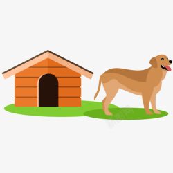 黄毛狗狗狗和它的屋子高清图片
