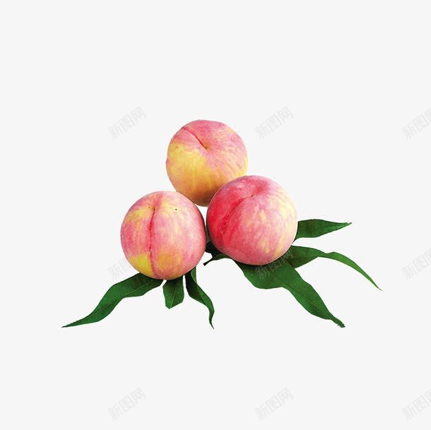 好吃的桃子png免抠素材_新图网 https://ixintu.com 果实 桃子 水果 蔬菜 食物