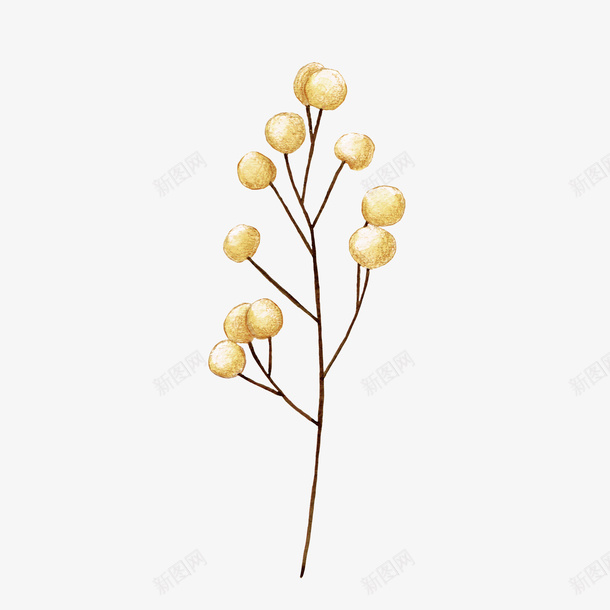 卡通手绘黄色的植物png免抠素材_新图网 https://ixintu.com 创意 动漫动画 卡通手绘 简约 花朵 黄色的植物