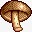 shiitake香菇蘑菇铁厨师高清图片