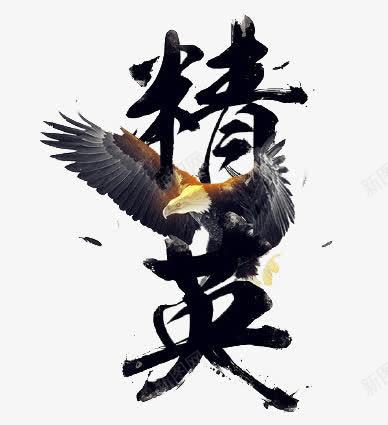 黑色文字精英动物老鹰png免抠素材_新图网 https://ixintu.com png图片 动物 文字 精英 老鹰 黑色