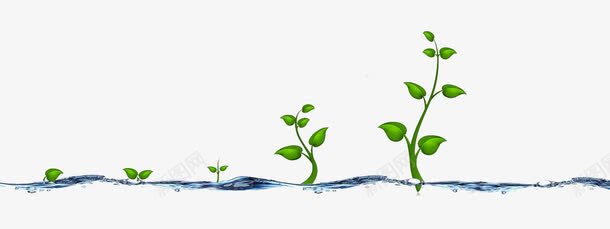 水中植物生长过程png免抠素材_新图网 https://ixintu.com 植物 水中 生长 生长的植物 过程