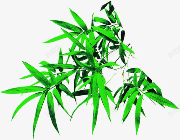 水墨风手绘植物绿色竹叶png免抠素材_新图网 https://ixintu.com 植物 水墨 竹叶 绿色