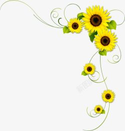 黄色向日葵花朵优美素材