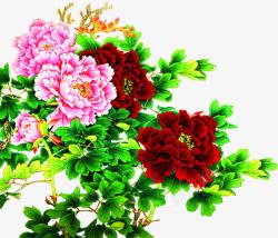 中秋节绿叶红粉色花朵素材