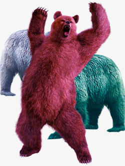 暴怒的暴怒的棕熊高清图片