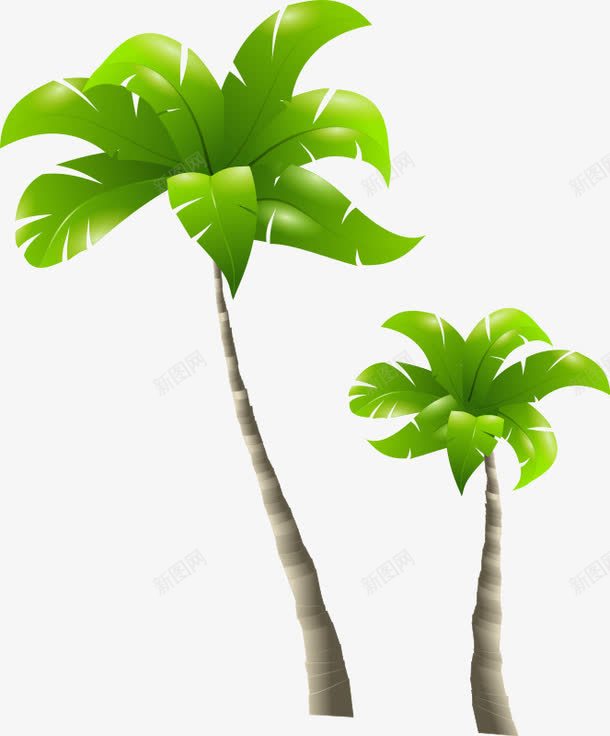 绿色的芭蕉扇png免抠素材_新图网 https://ixintu.com PNG 植物 绿色 芭蕉树