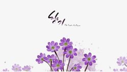 韩国风清新紫色小花背景素材