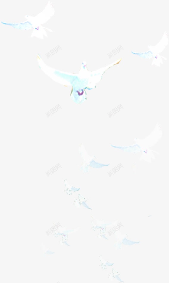 摄影活动手绘实拍和平鸽png免抠素材_新图网 https://ixintu.com 动手 和平鸽 实拍 摄影
