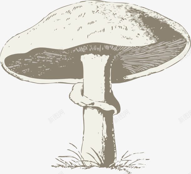 灰色蘑菇png免抠素材_新图网 https://ixintu.com 卡通蘑菇 大蘑菇 灰蘑菇 蘑菇