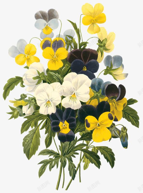 白色花朵黄色花朵绿色叶子png免抠素材_新图网 https://ixintu.com 叶子 白色 绿色 花朵 黄色